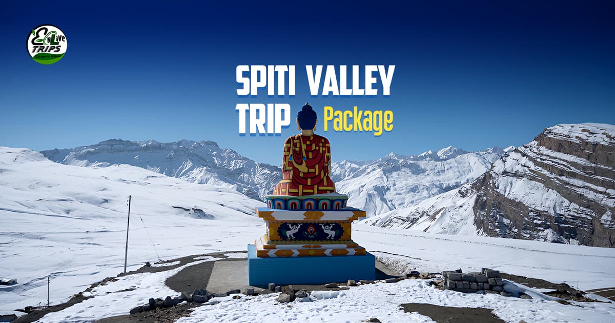 White Spiti: How to Reach, Where to Stay & What to Do This Winter