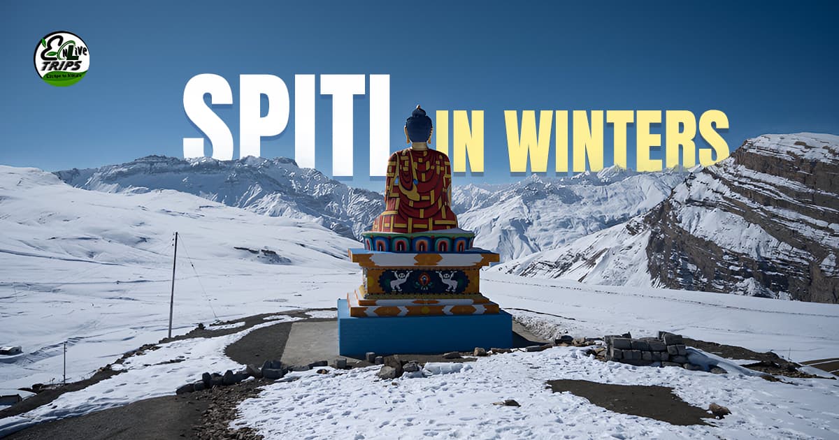 7 Days in Frozen Spiti Valley Tour From Delhi to the White Desert