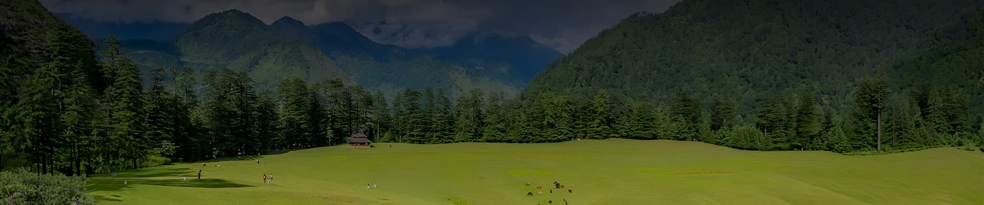 Shangarh Sainj Valley