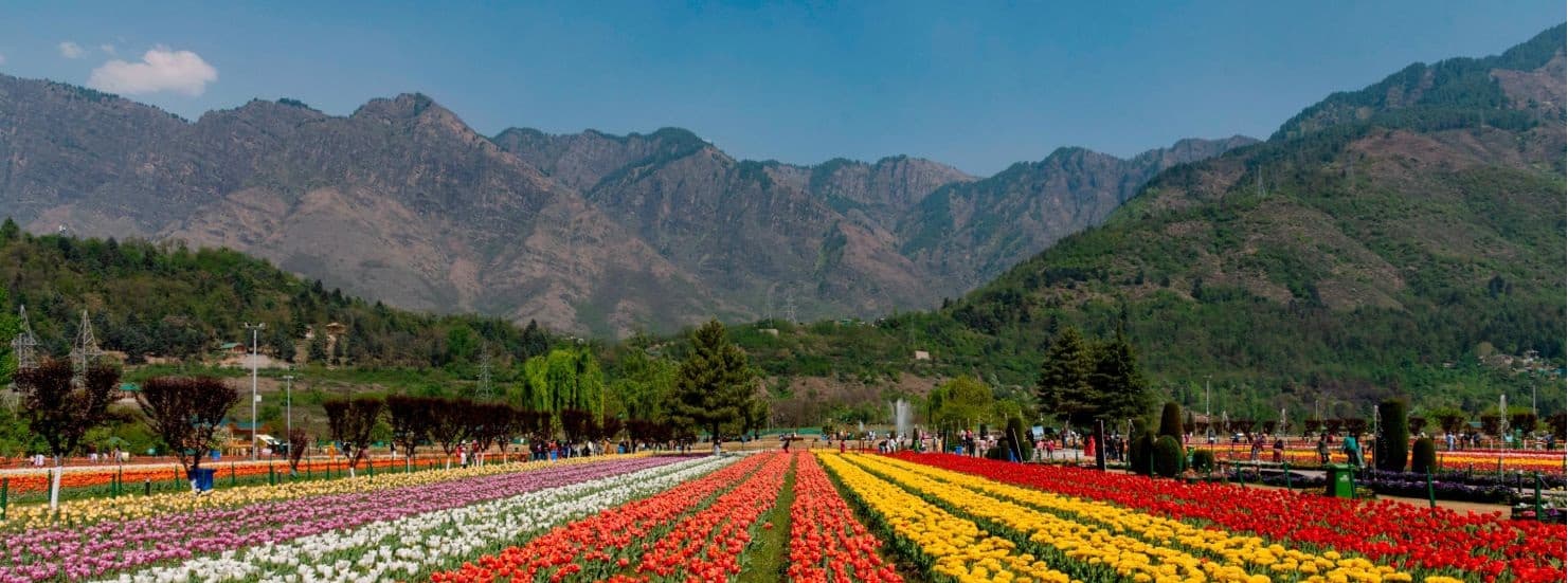 Kashmir Package from Delhi