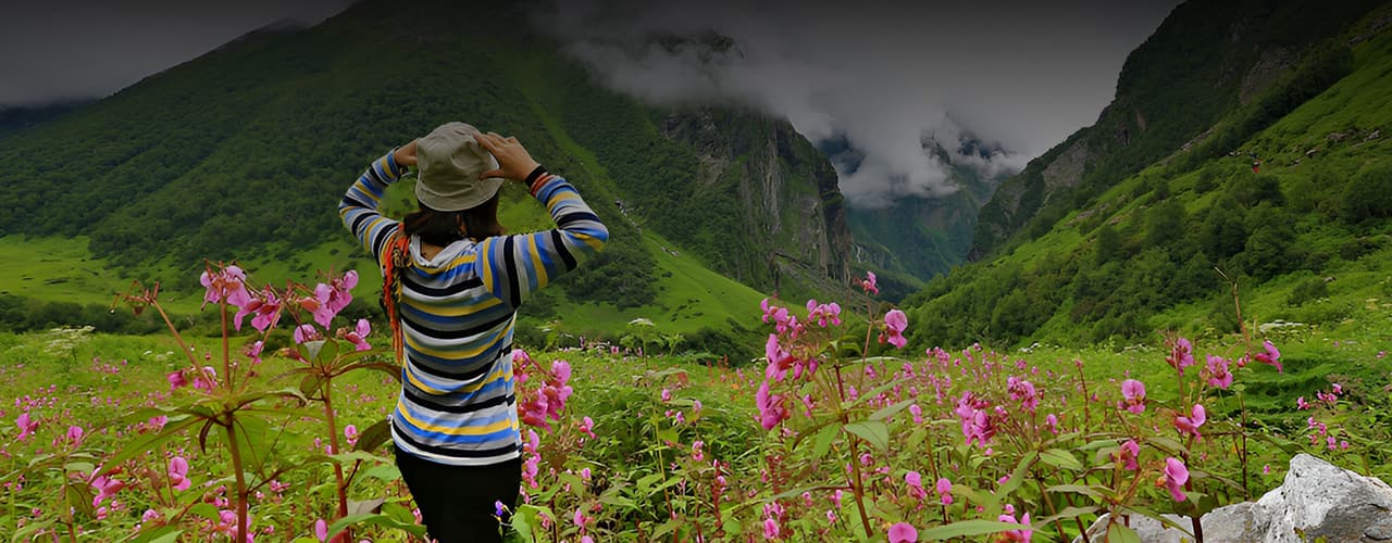 Valley of Flowers