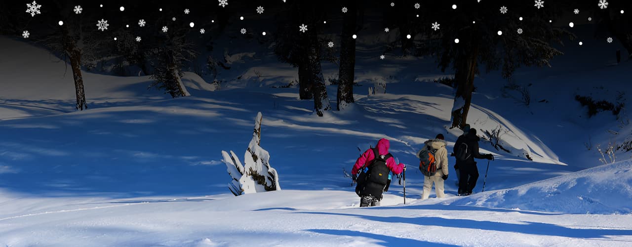 Kedarkantha Trek Packages